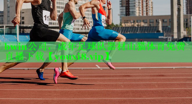 bwin公司，成年足球队器材山猫体育免费直播下载