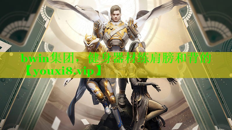 bwin集团，健身器材练肩膀和背的
