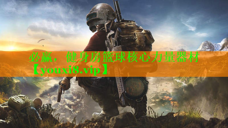 健身房篮球核心力量器材
